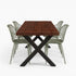Industriële tuintafel X poot met douglas houten blad met de kleur warm brown voor buiten – Design85