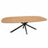 Salontafel ovaal Facet met transparant afgewerkt houten blad en zwart stalen spinpoot.
