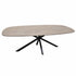 Salontafel ovaal Facet met wit gebeitst houten blad en zwart stalen spinpoot.